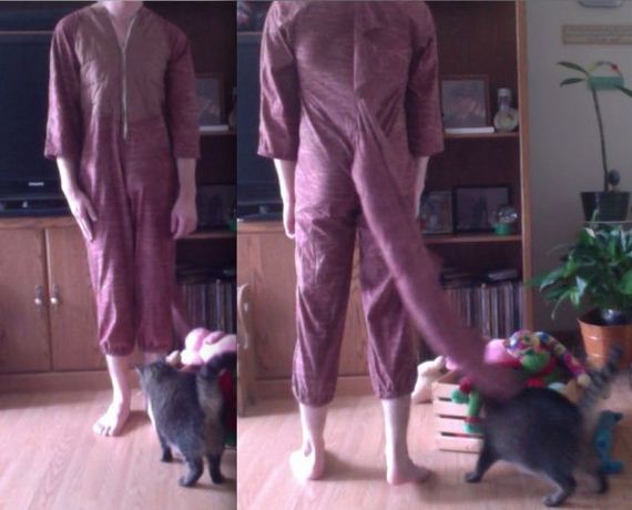 funny-pictures-743
