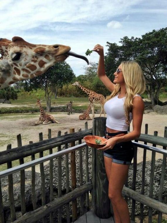 funny-pictures-743