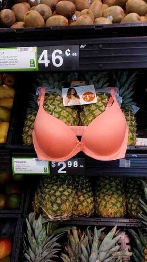 funny-pictures-743