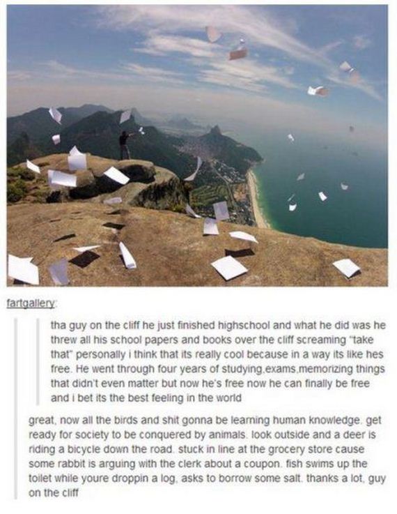 funny-pictures-744