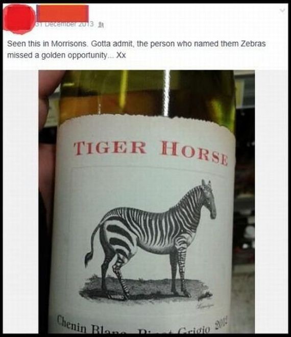 funny-pictures-745