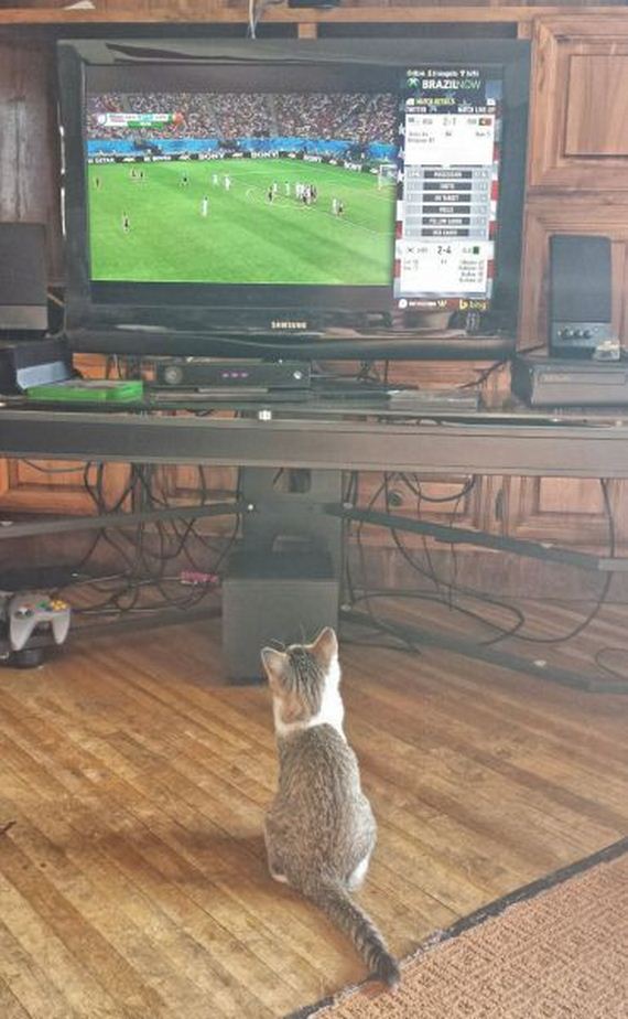 funny-pictures-745