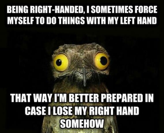 funny-pictures-747