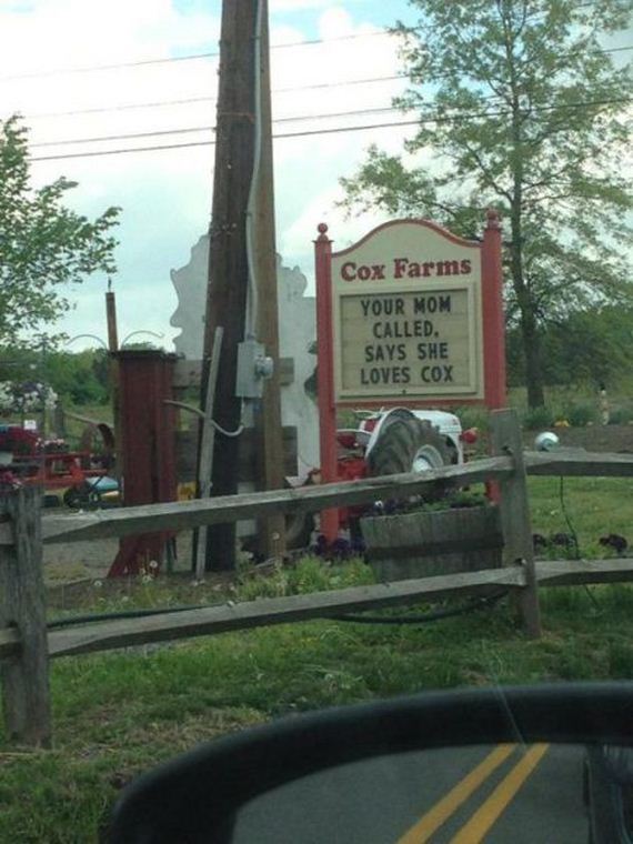 funny-pictures-747