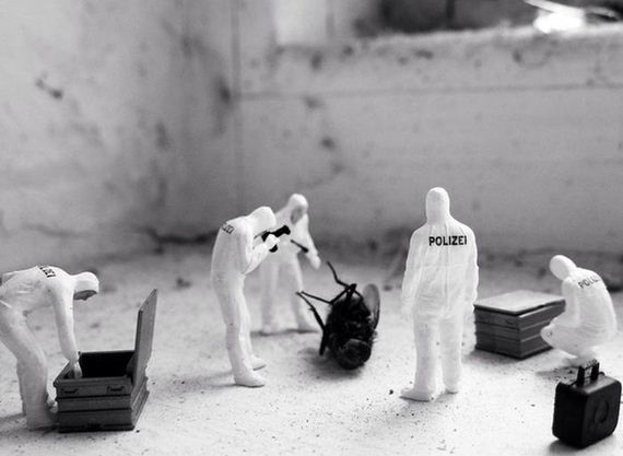 funny-pictures-748