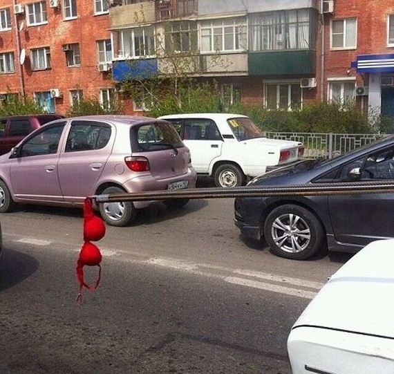 funny-pictures-748