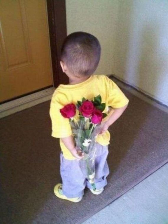 funny-pictures-748
