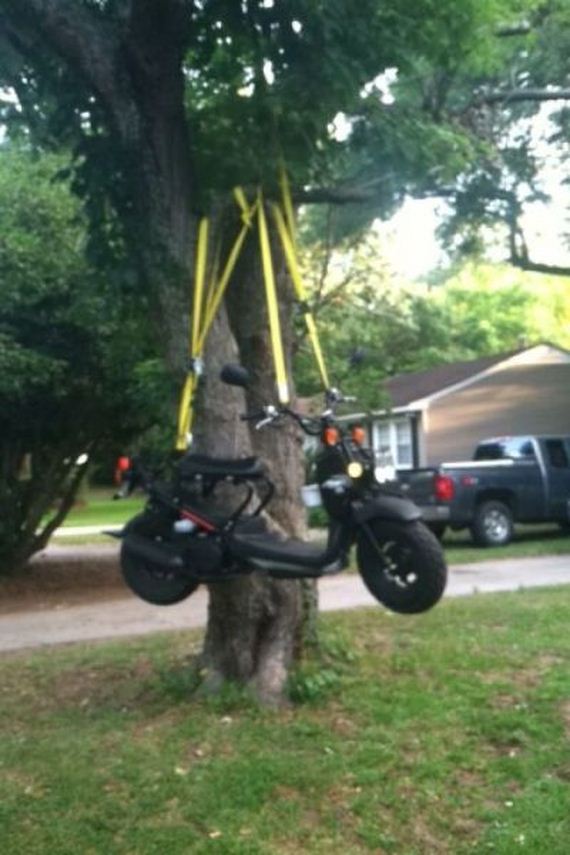 funny-pictures-748