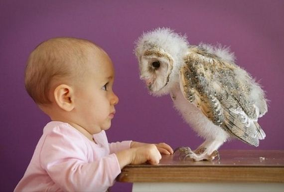 funny-pictures-749