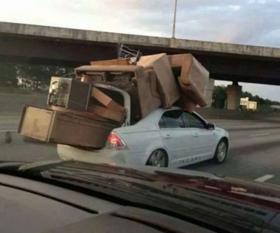 funny-pictures-749