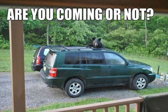 funny-pictures-749
