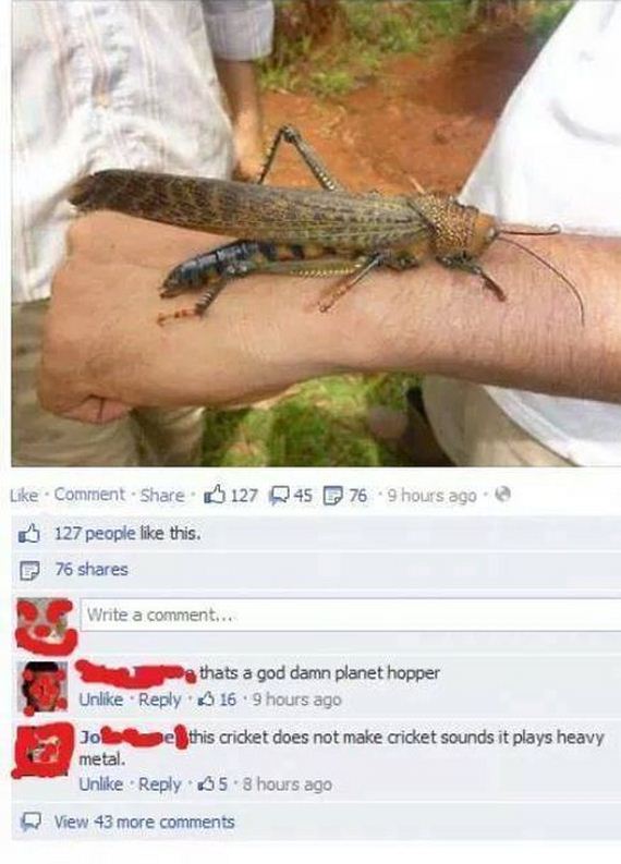 funny-pictures-749