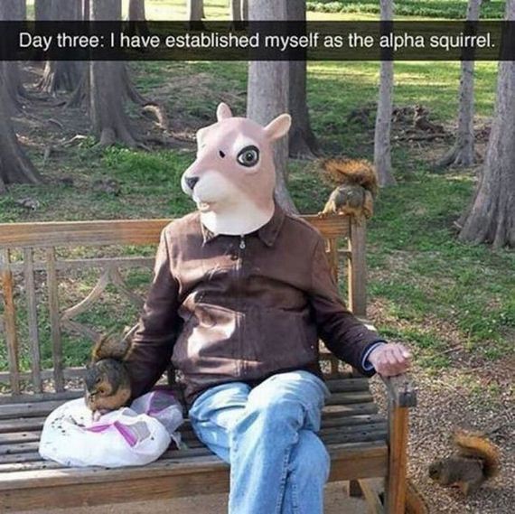 funny-pictures-749