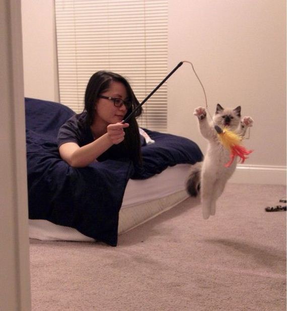 funny-pictures-749