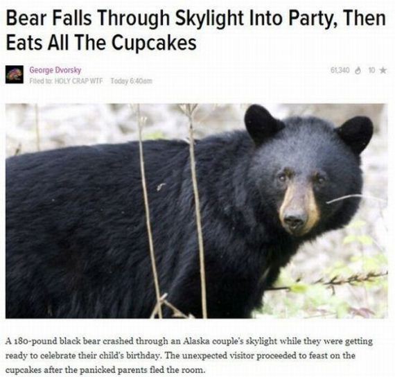 funny-pictures-749
