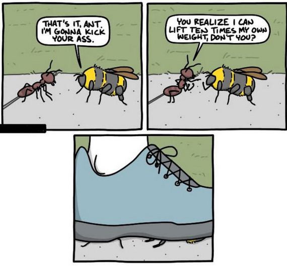 funny-pictures-751