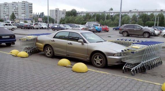 funny-pictures-751