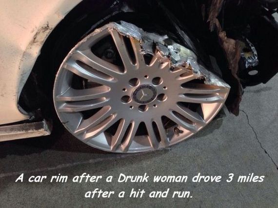 funny-pictures-751