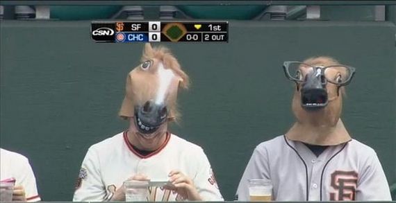 funny-pictures-751