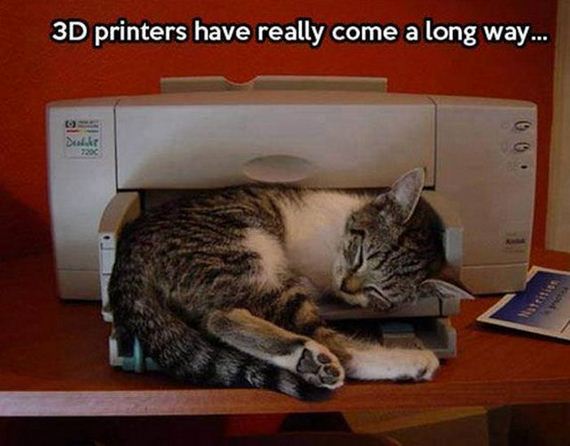 funny-pictures-751
