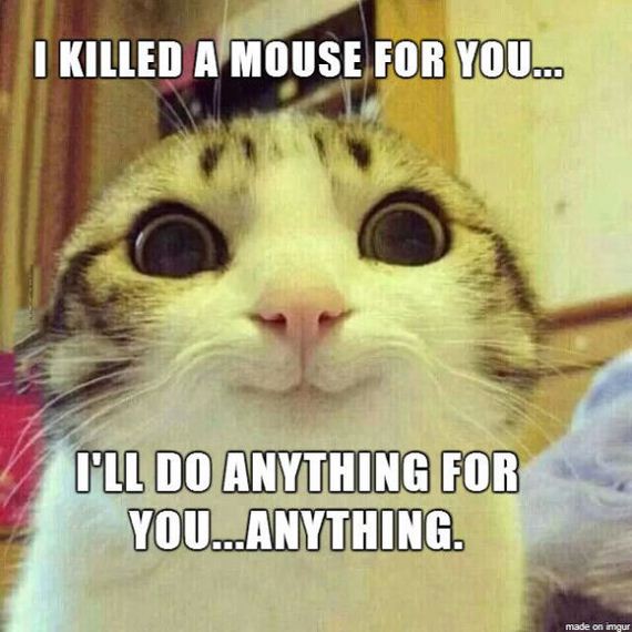 funny-pictures-752