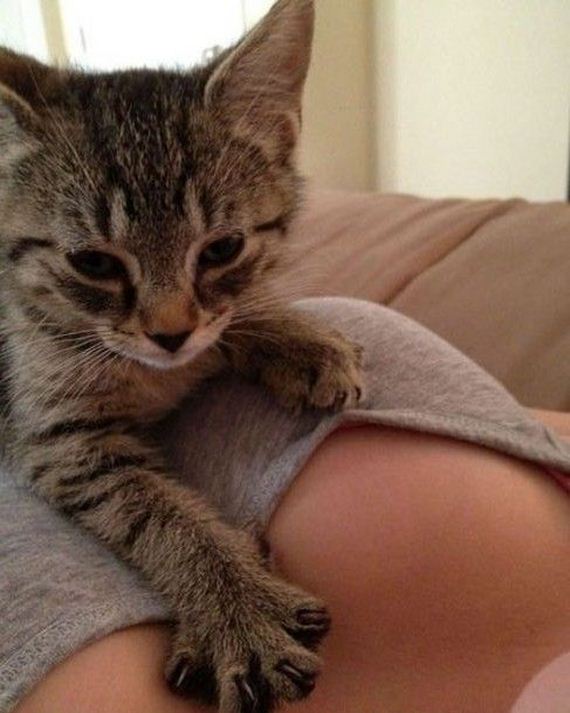 funny-pictures-753