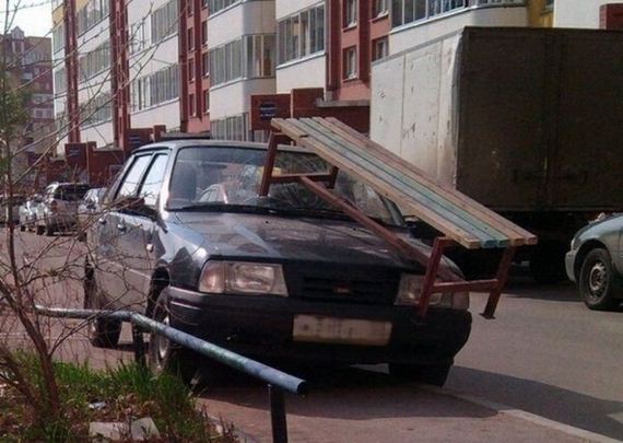 funny-pictures-753