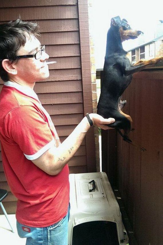 funny-pictures-753