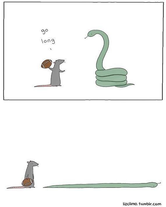 funny-pictures-753