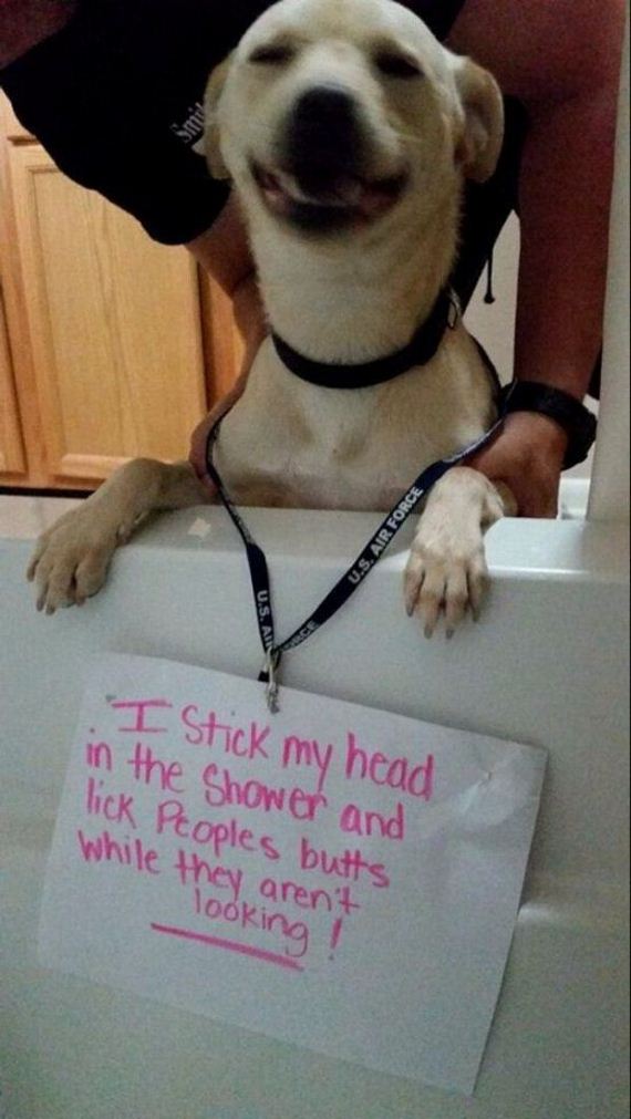 funny-pictures-753