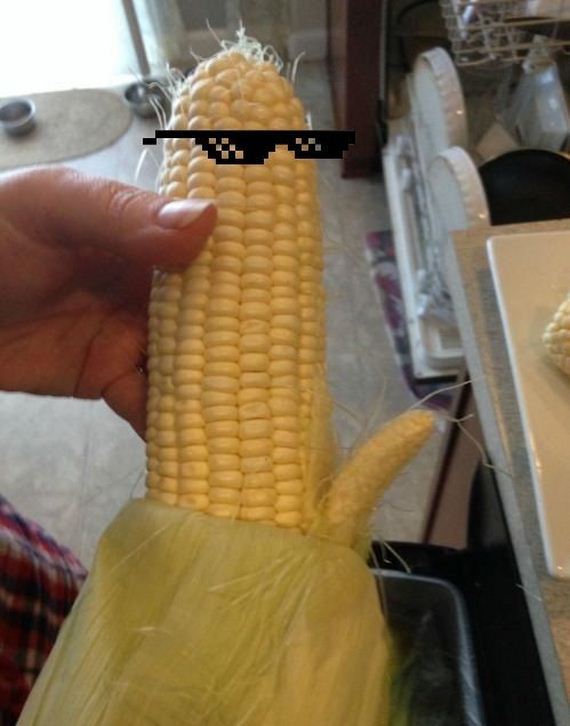 funny-pictures-754