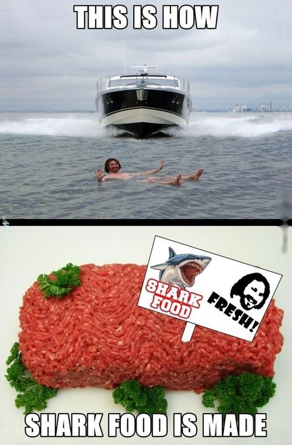 funny-pictures-754