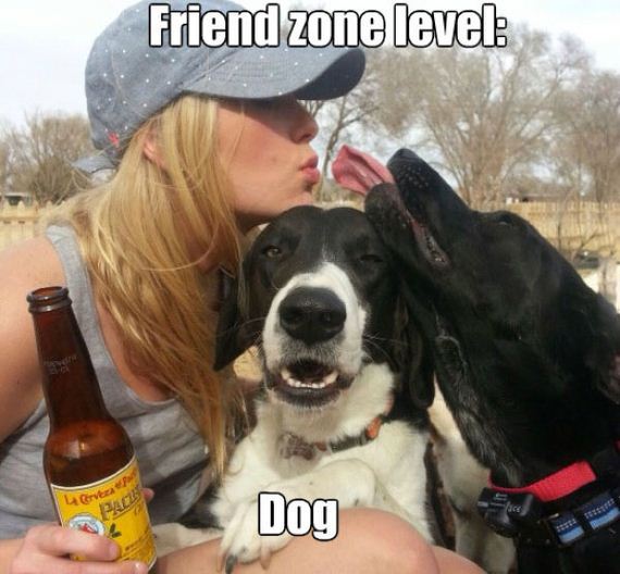 funny-pictures-754