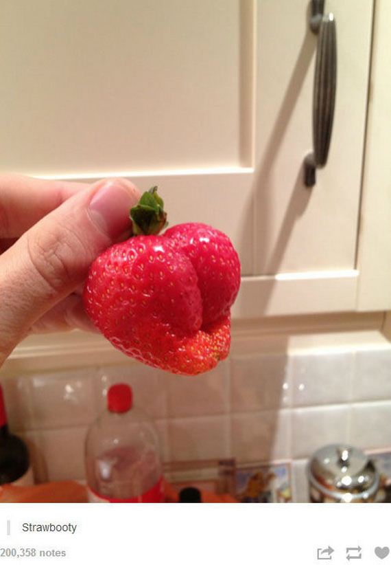 funny-pictures-754