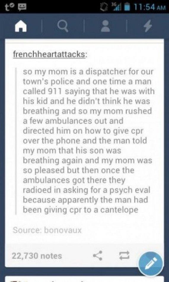 funny-pictures-754