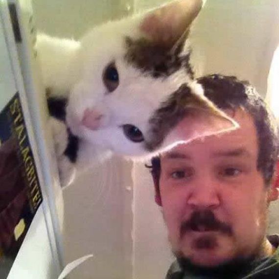 funny-pictures-754