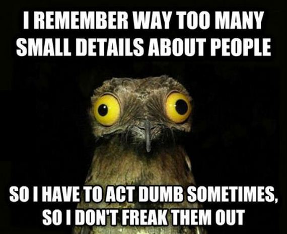 funny-pictures-754