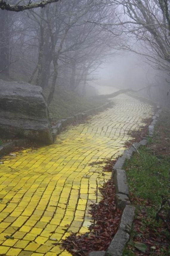 funny-pictures-754