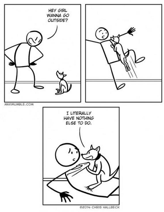 funny-pictures-755