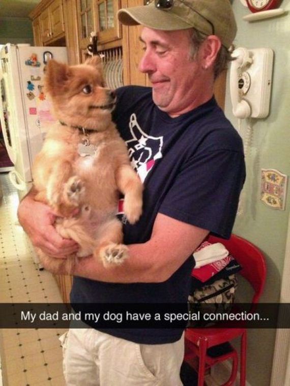 funny-pictures-755