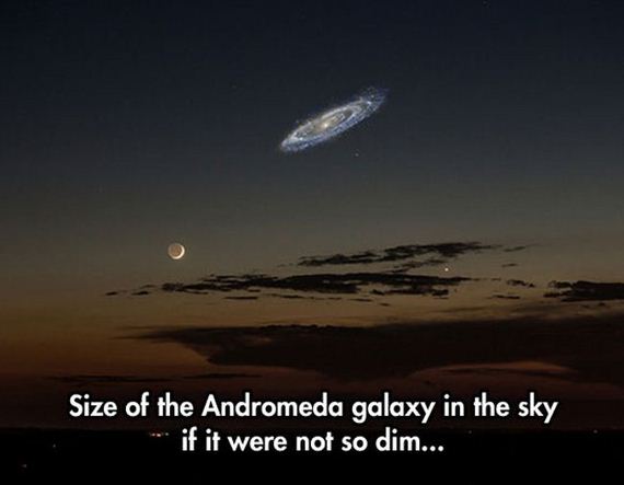 funny-pictures-755