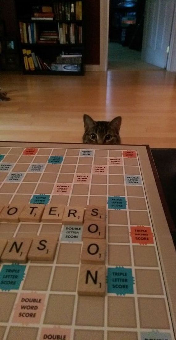 funny-pictures-756