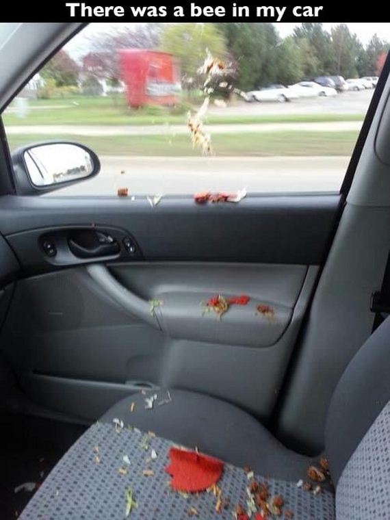funny-pictures-756