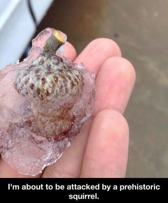 funny-pictures-758