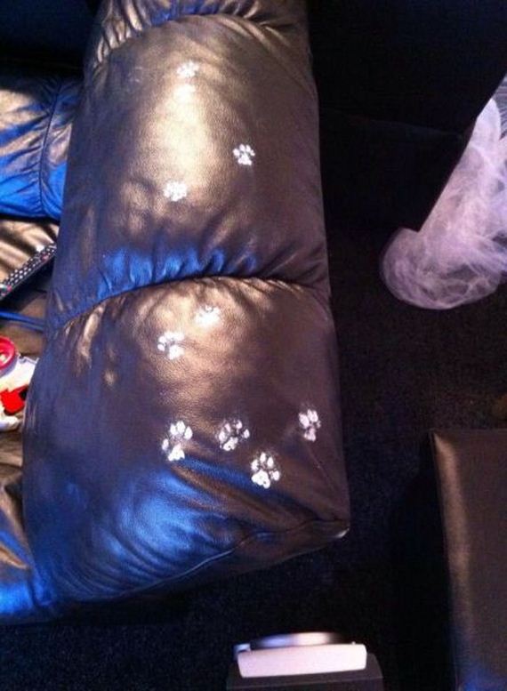 funny-pictures-758