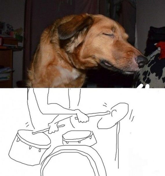 funny-pictures-758