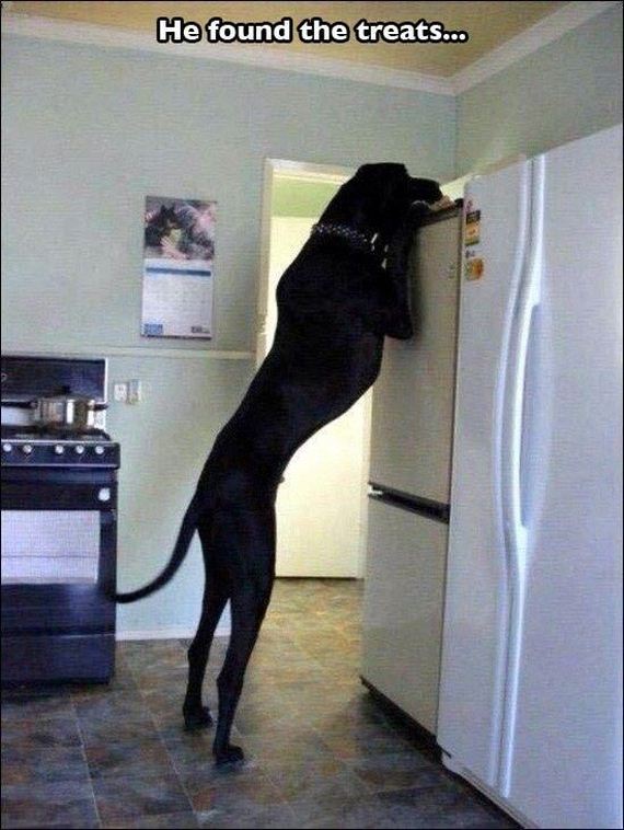 funny-pictures-759