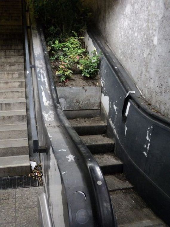 funny-pictures-759