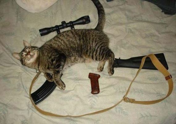 funny-pictures-760