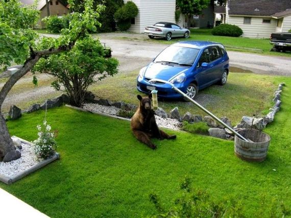 funny-pictures-762